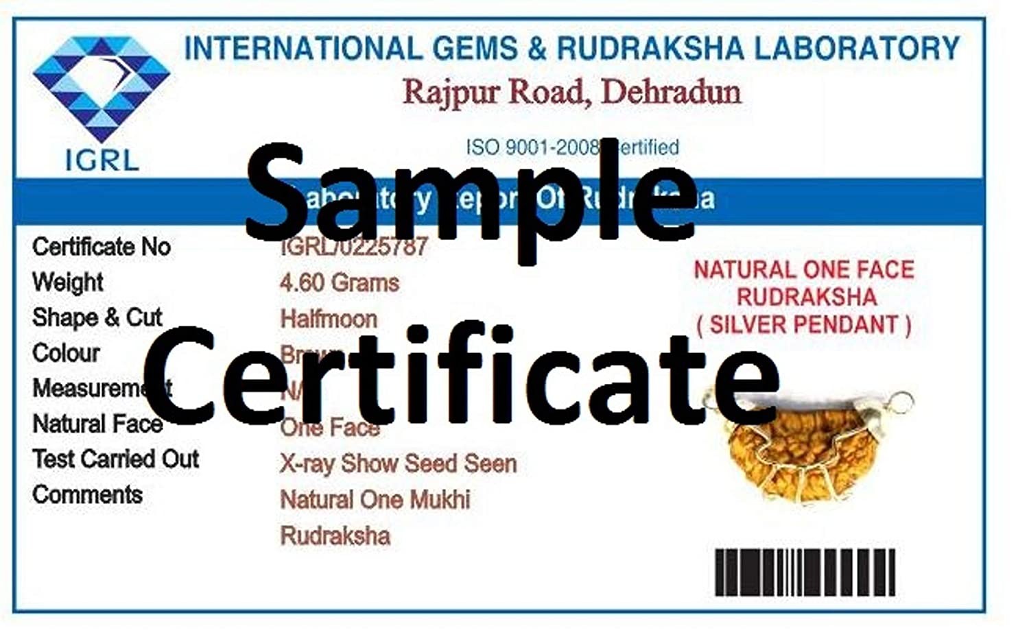 Mansha Puran One Face Rudraksha (1 Mukhi Rudraksh) - Image 2