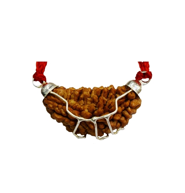 One Face Rudraksha Pendant