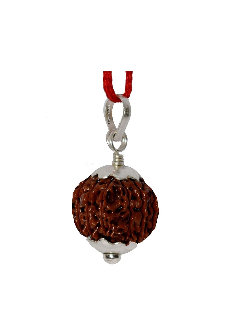 Ten Mukhi Rudraksha pendant