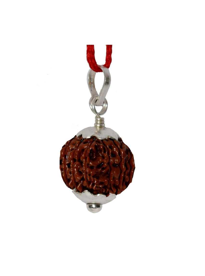 Eleven Face Rudraksha Pendant