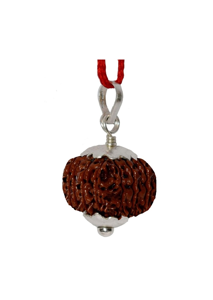 Thirteen Face Rudraksha Pendant