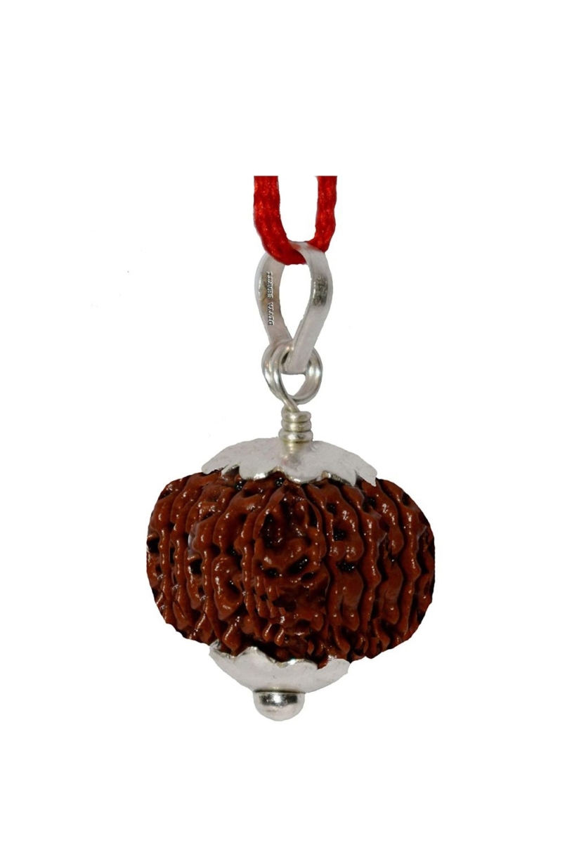 Fourteen Face Rudraksha Pendant