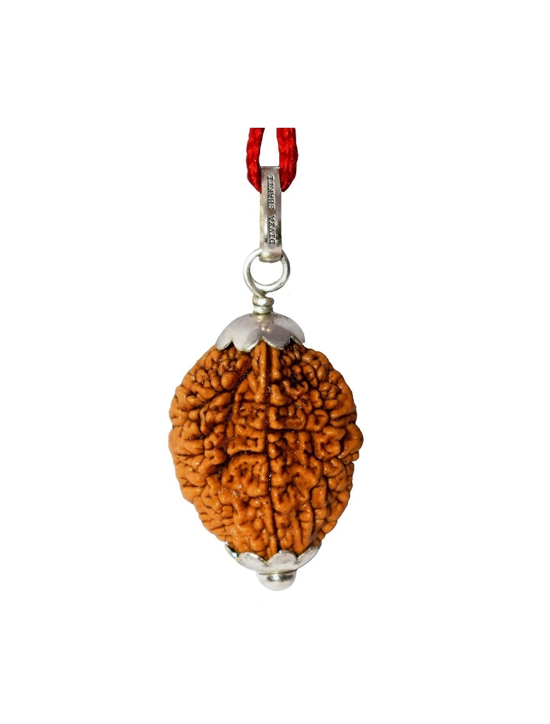 Two Face Rudraksha Pendant