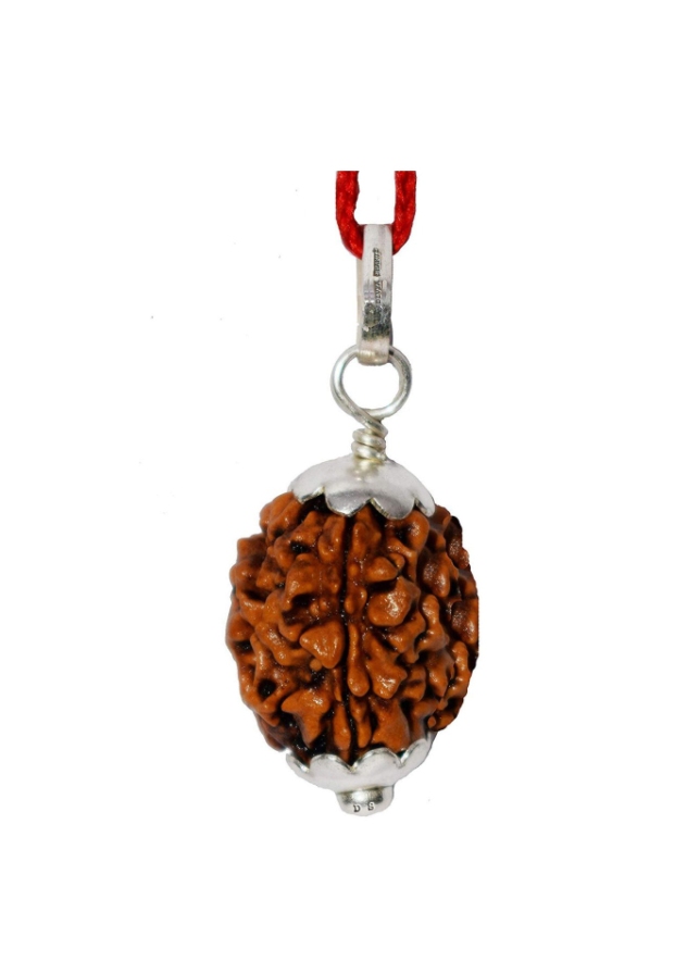 Rudraksha Pendant