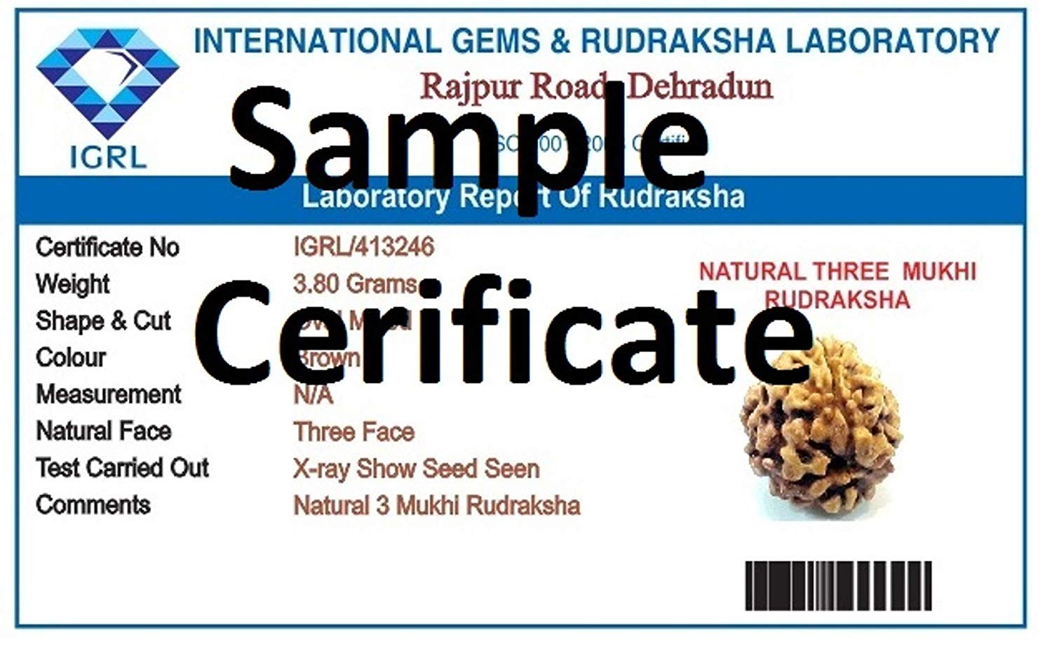 Mansha Puran Three Face / 3 Mukhi Rudraksha Metal Pendant with Red Thread - Image 2