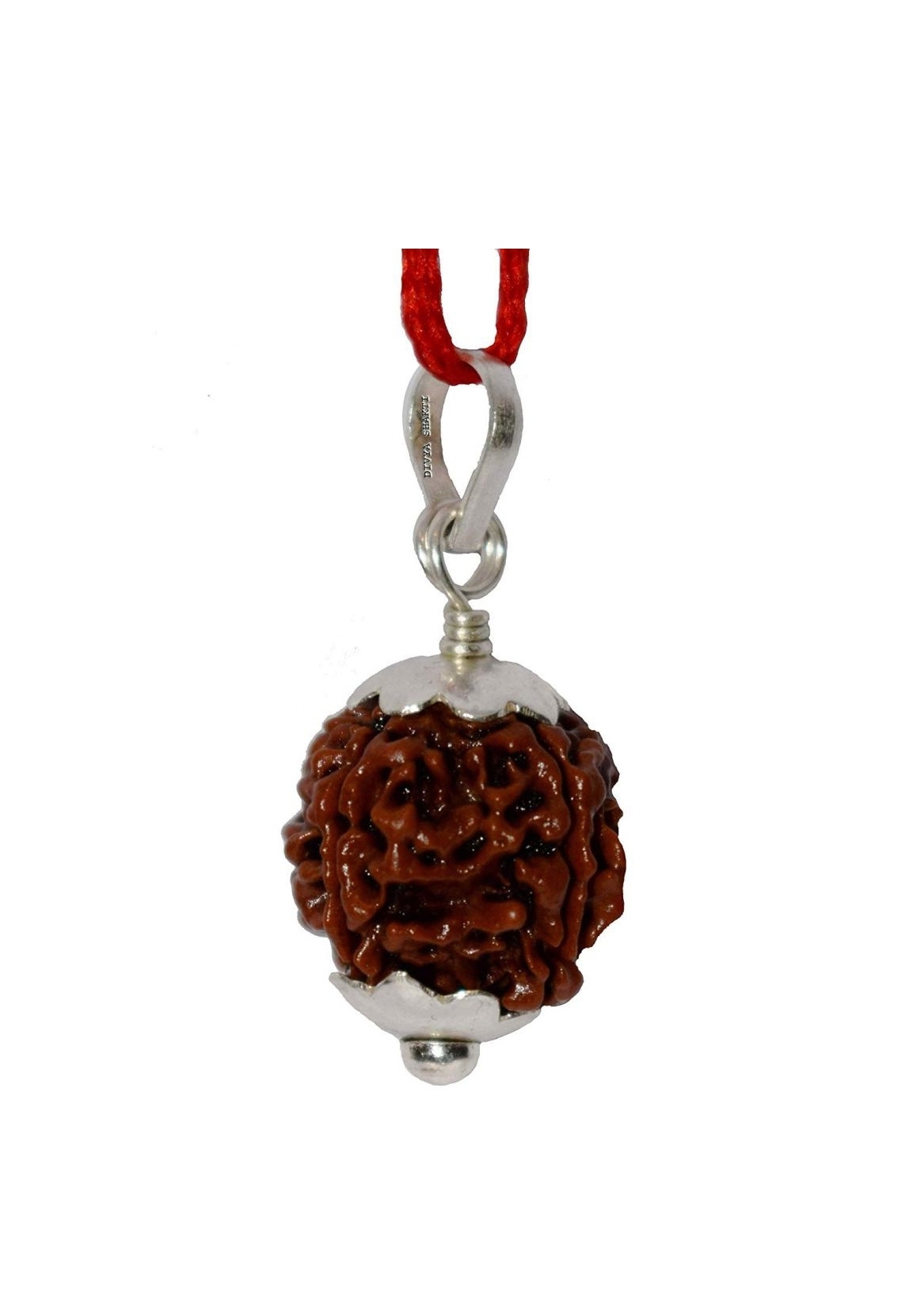 Four Face Rudraksha Pendant