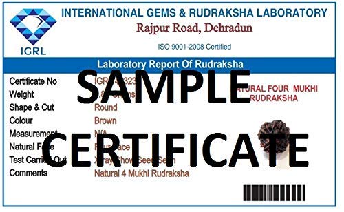 Mansha Puran Nepali Four Face / 4 Mukhi Rudraksha bead with Red Thread - Image 2