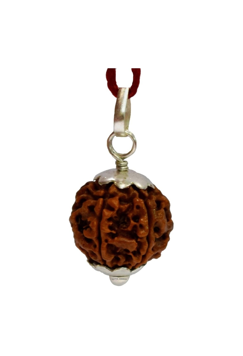Five Face Rudraksha Pendant