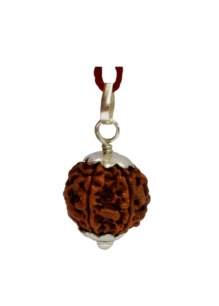 Six Face Rudraksha Pendant