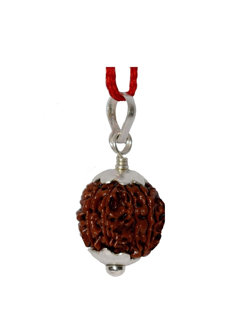 Seven Face Rudraksha Pendant