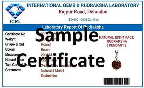 Mansha Puran Nepali Eight Face 8 Mukhi Rudraksha Bead with Red Thread - Image 2