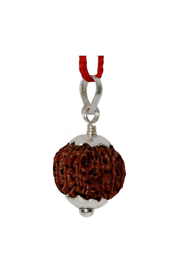 Nine Face Rudraksha Pendant