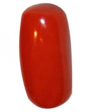 Red Coral Munga